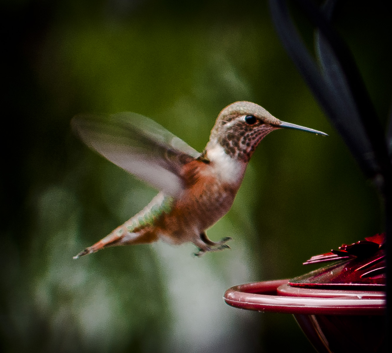 coming in for a landing