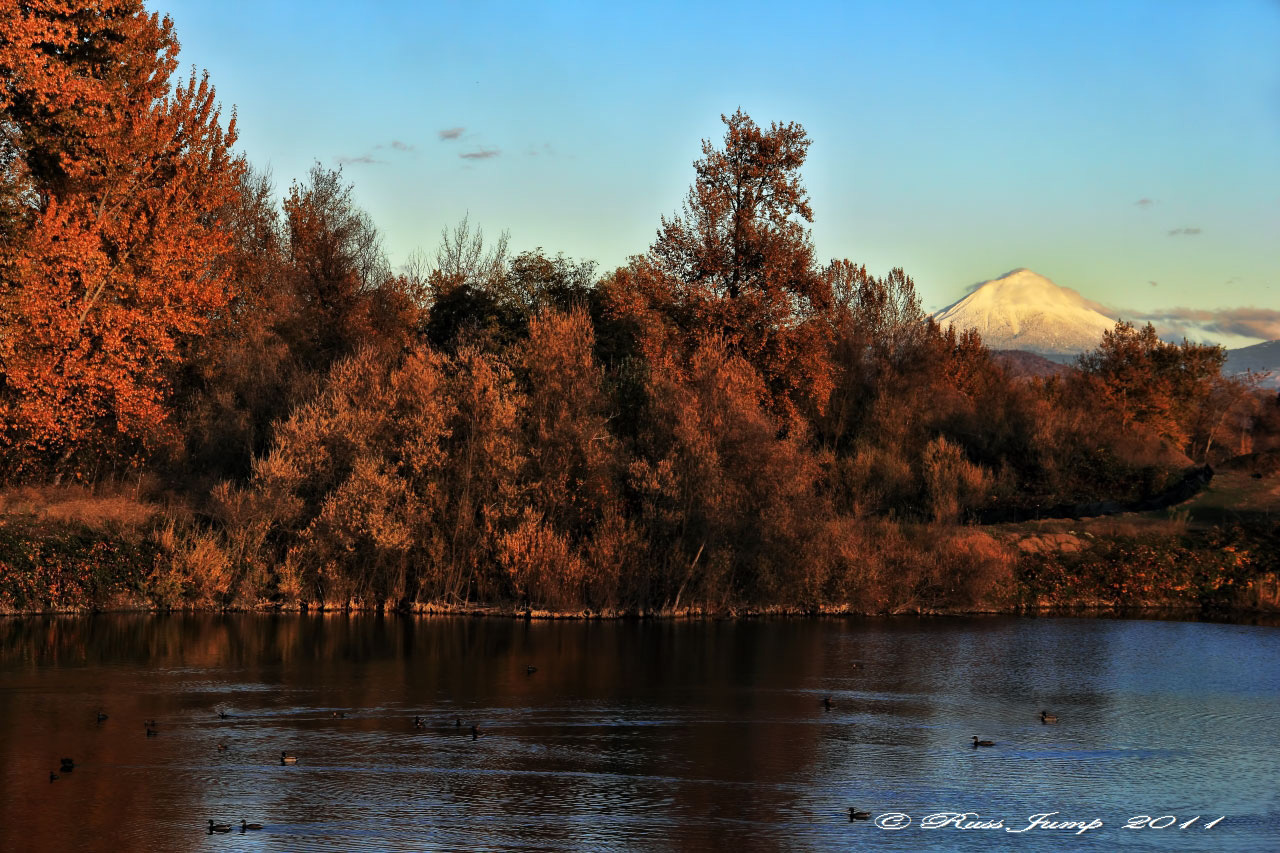Country Autumn