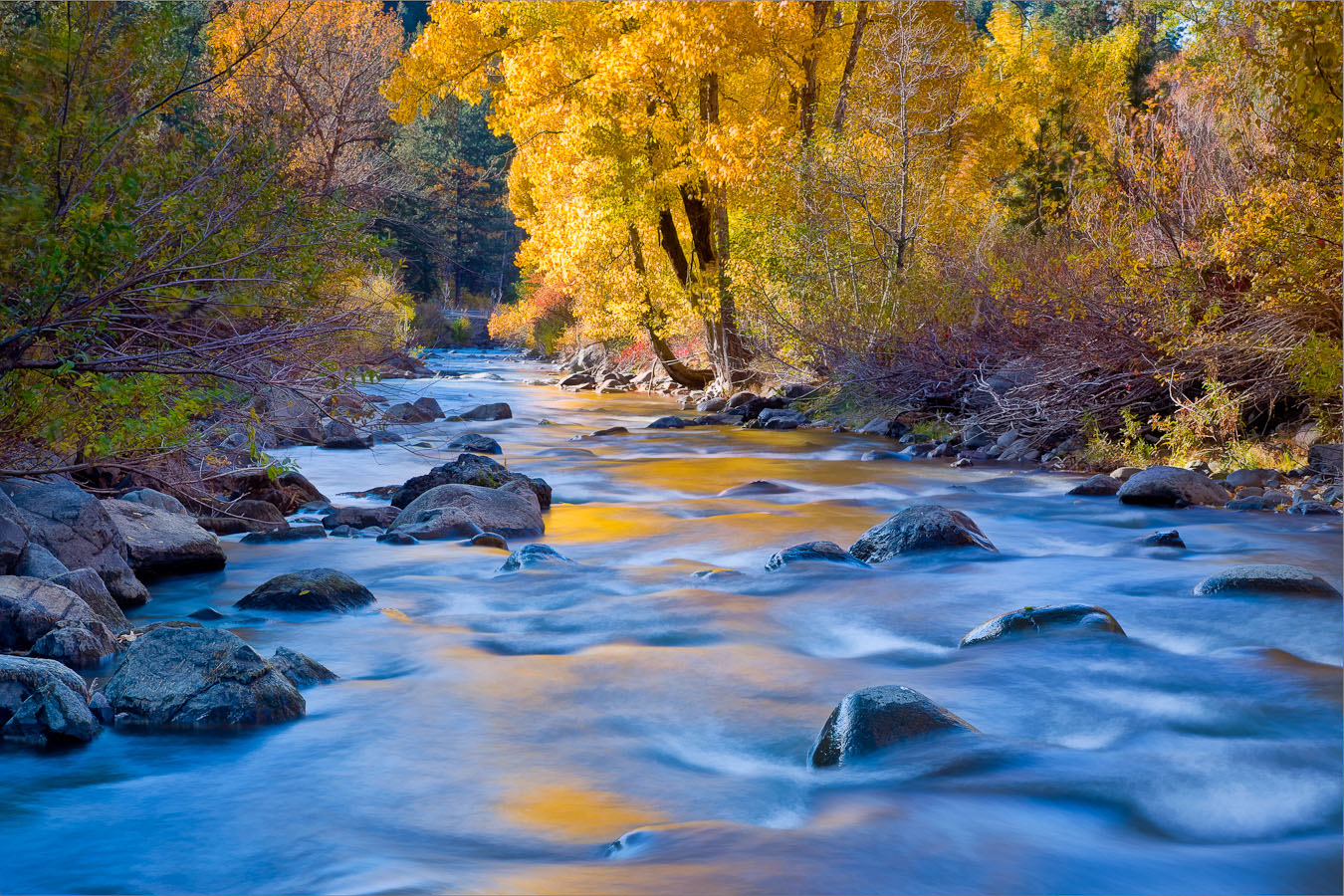 Creek near Council, ID