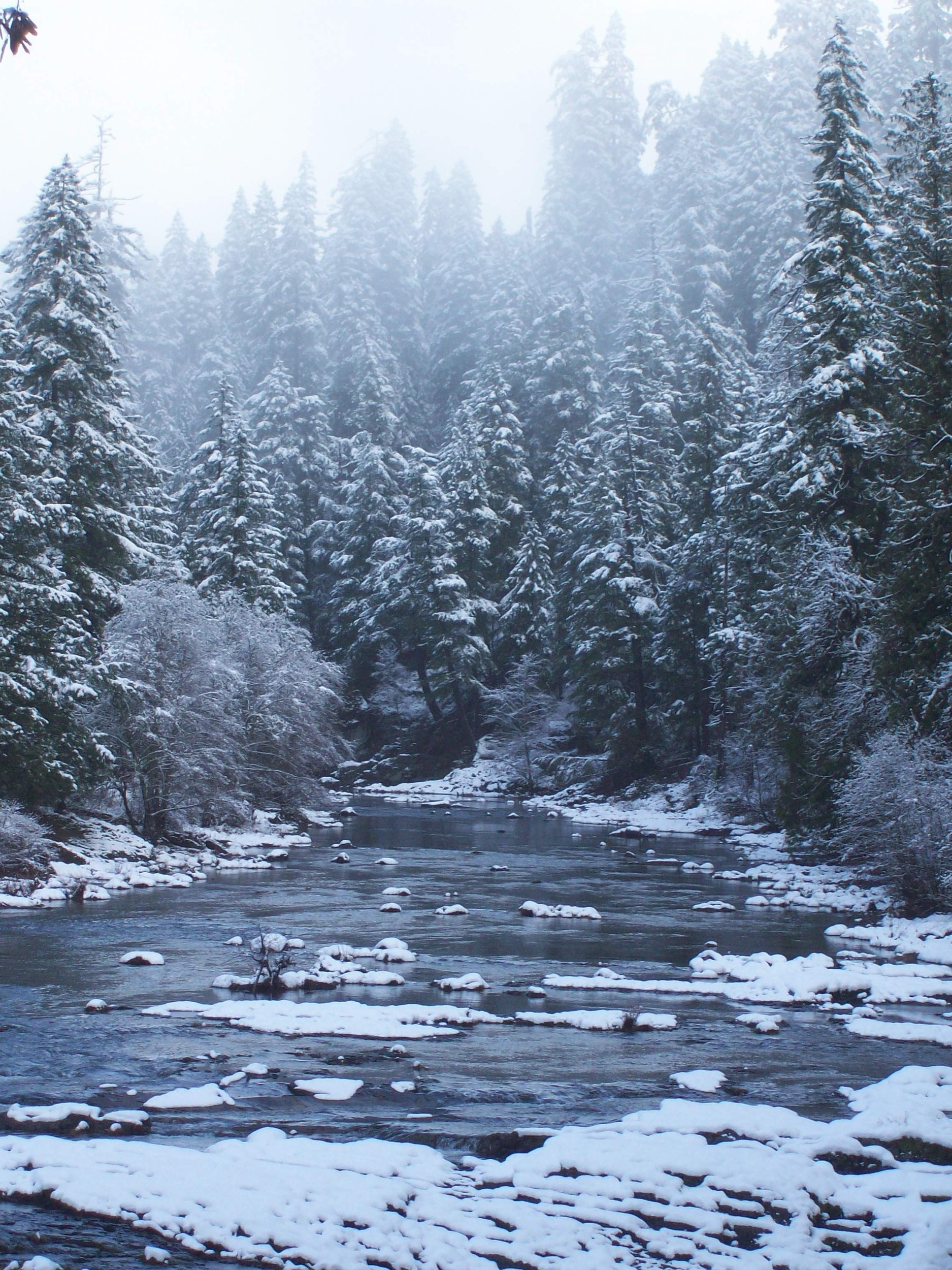 Creeks of the North Umpqua River