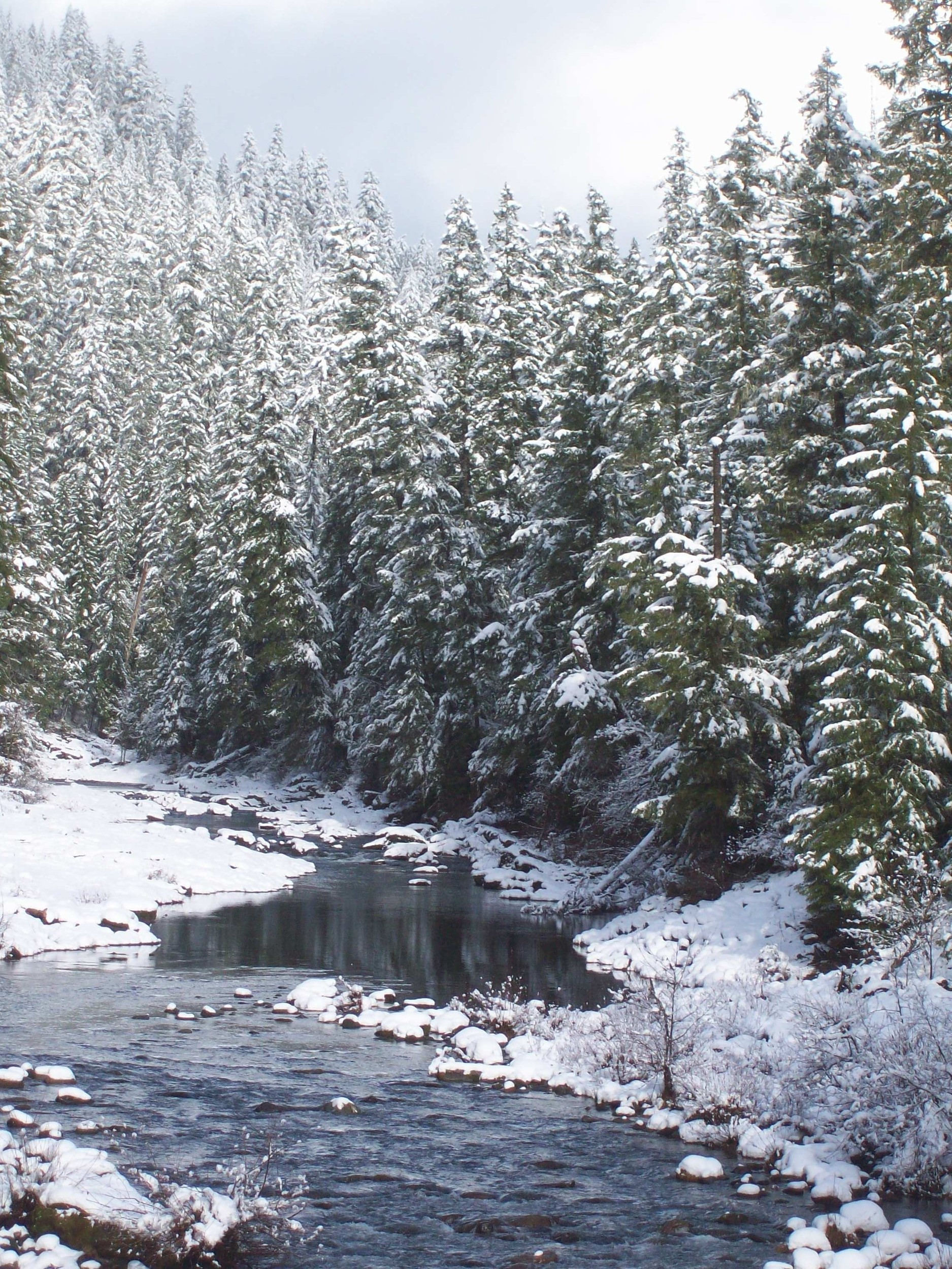 Creeks of the North Umpqua River
