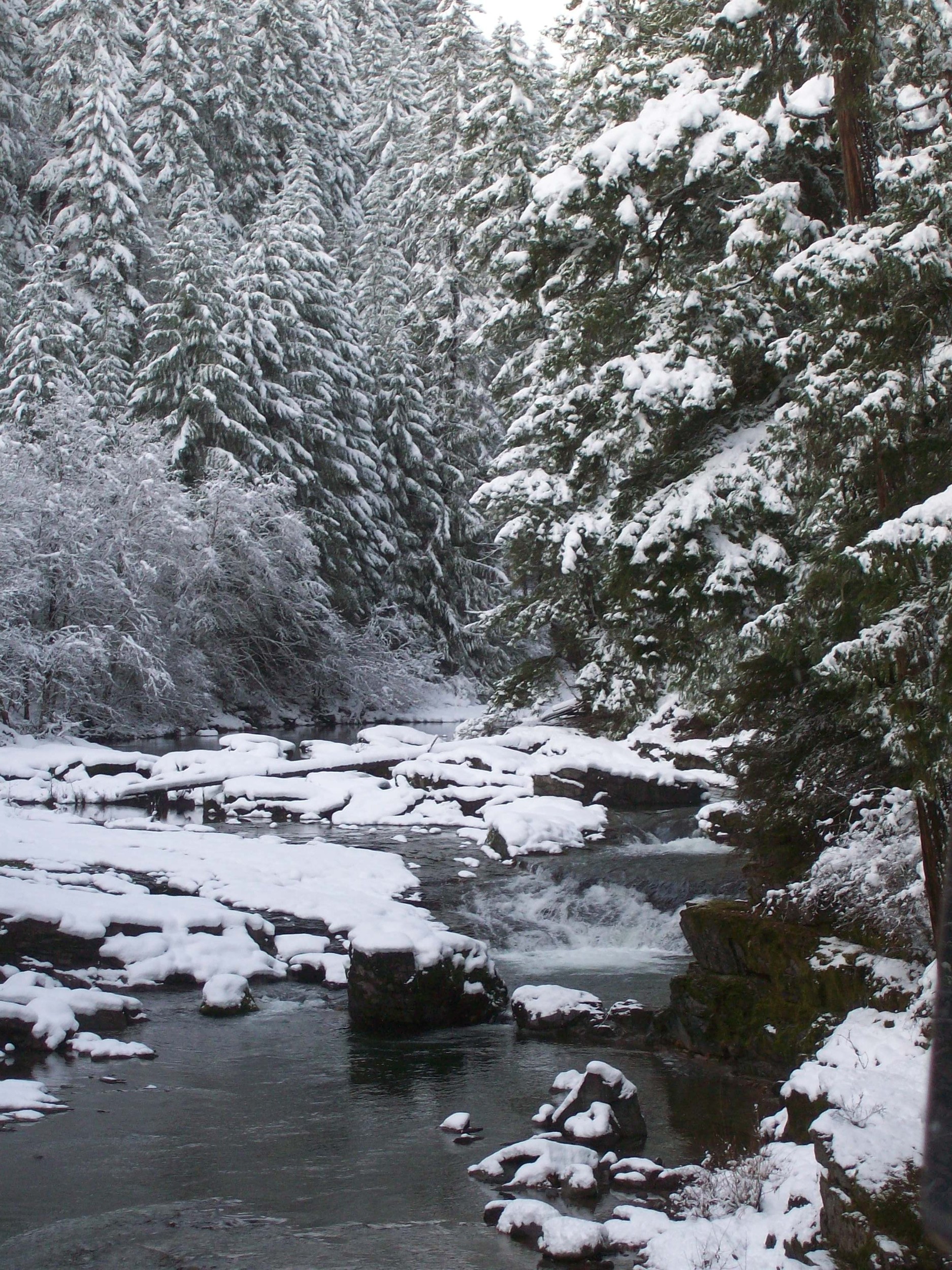 Creeks of the North Umpqua River