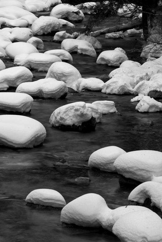 Creekside Solace