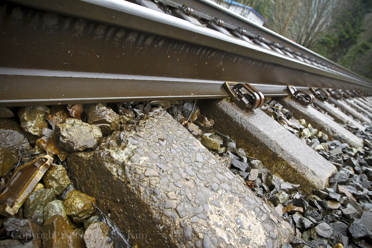 Danger on the Tracks