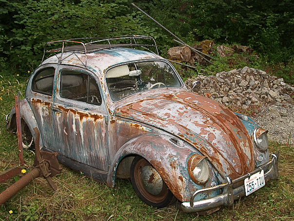 Dead Bug