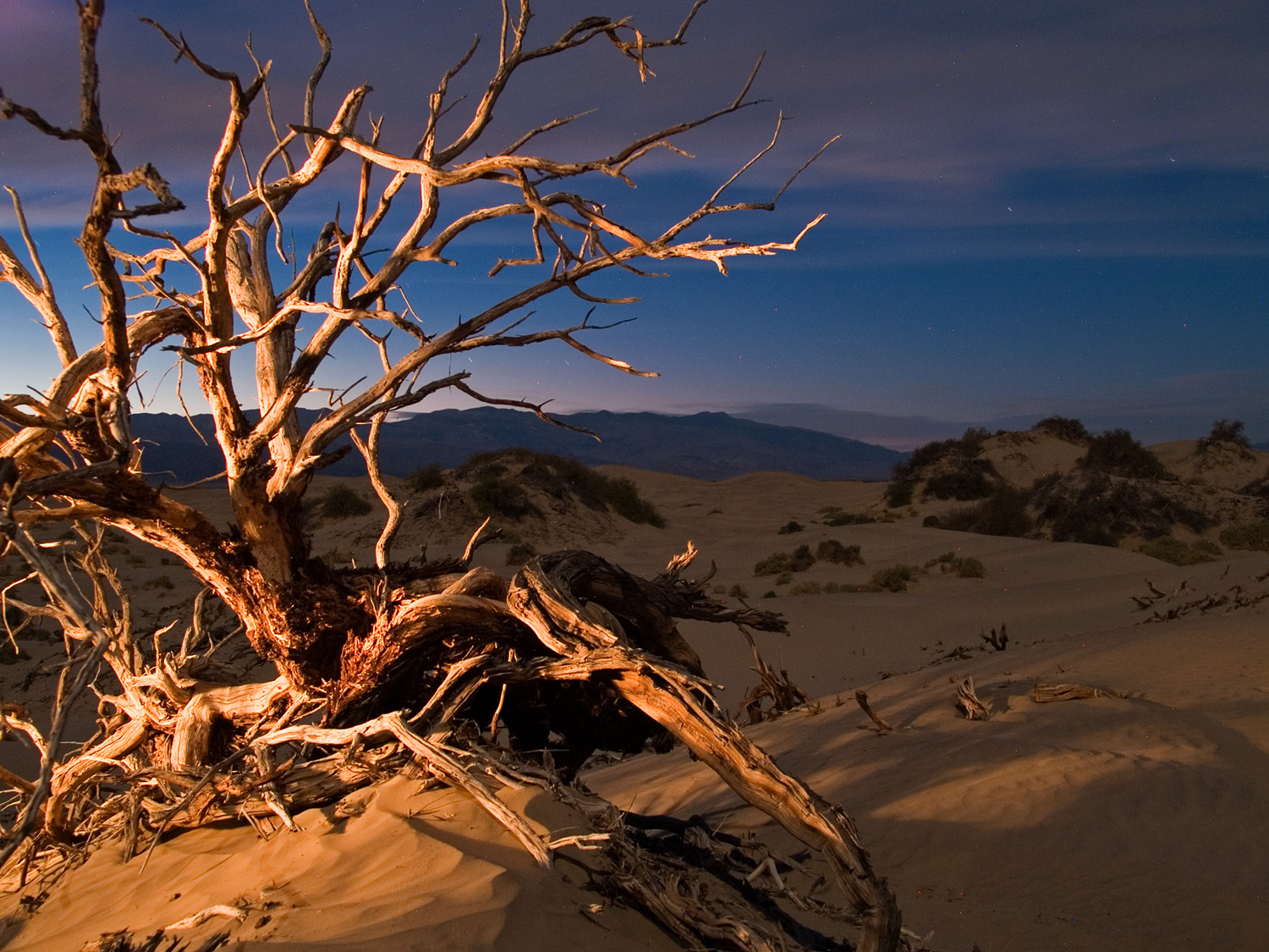 Death Valley Night