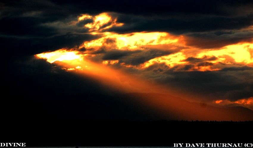 Divine