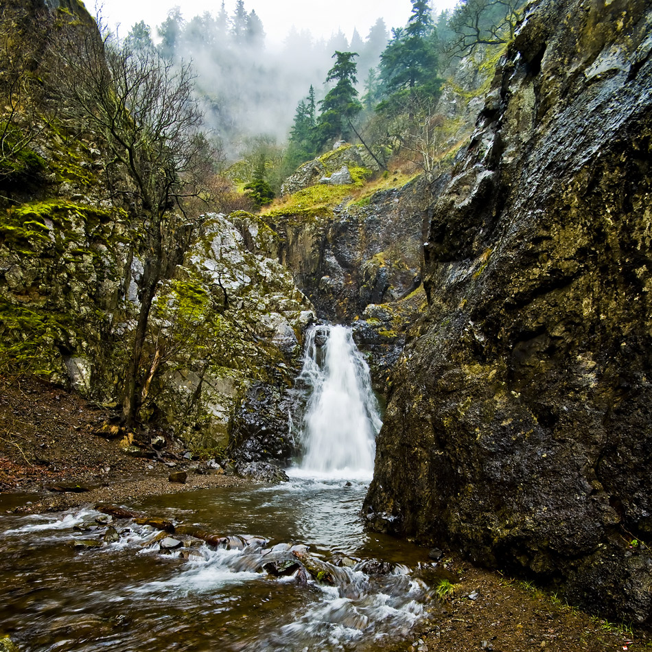 Dog Creek Falls