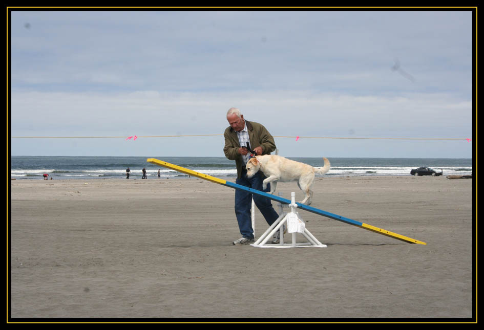 Doggie Olympic Games 2010 - Long Beach, Washington