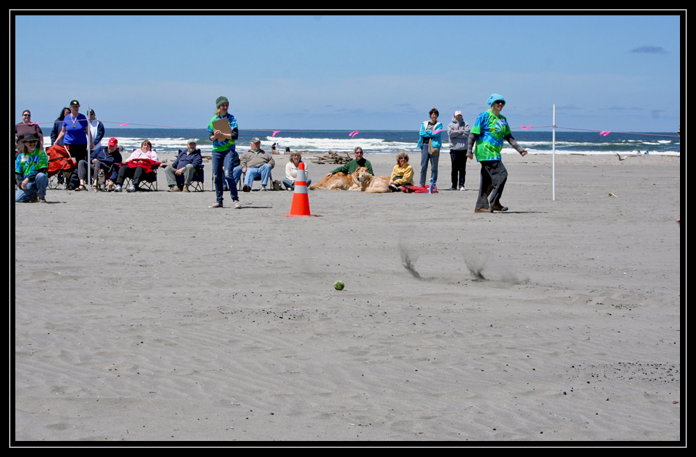 Doggie Olympics Games Long Beach WA 2011