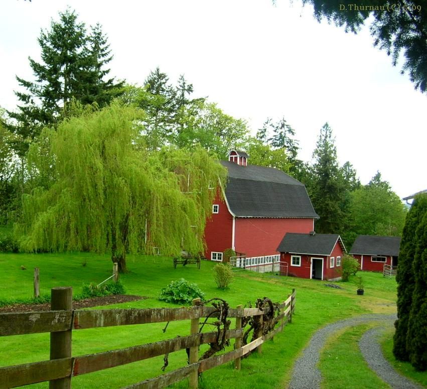 down the lane