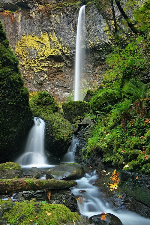 Downstream