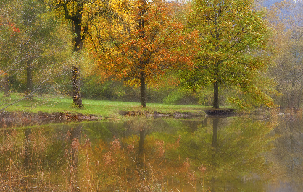Dreamscape