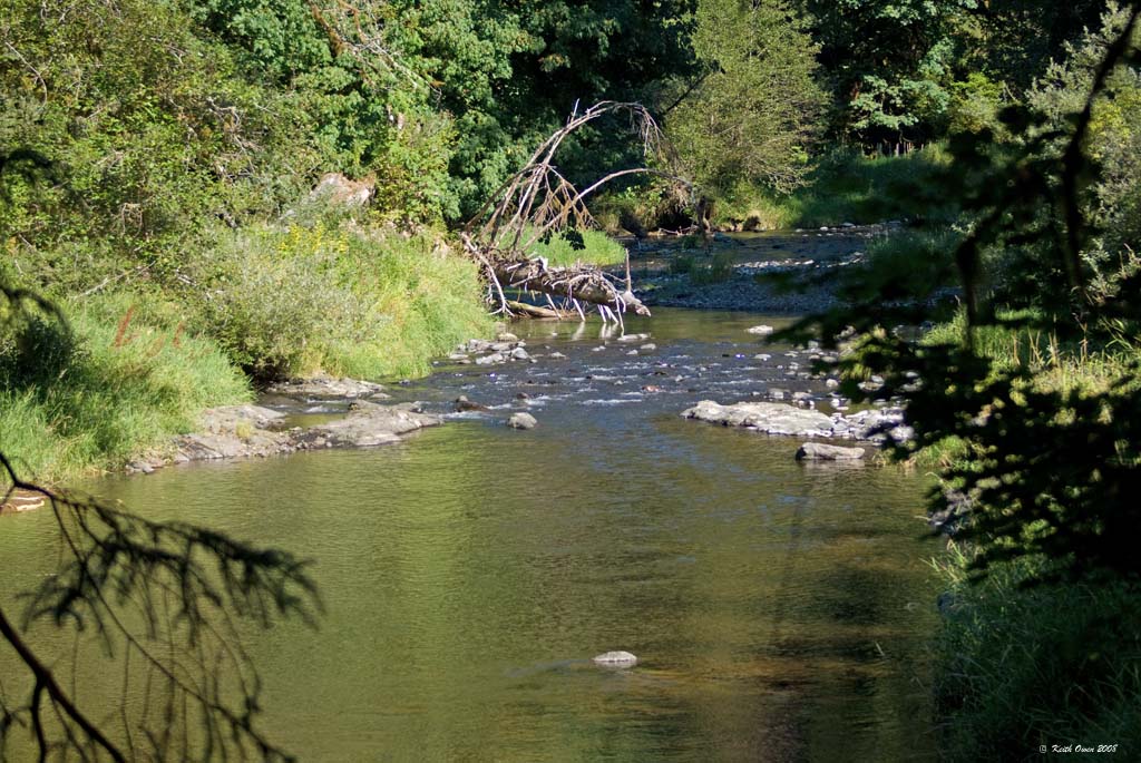 Drift Creek