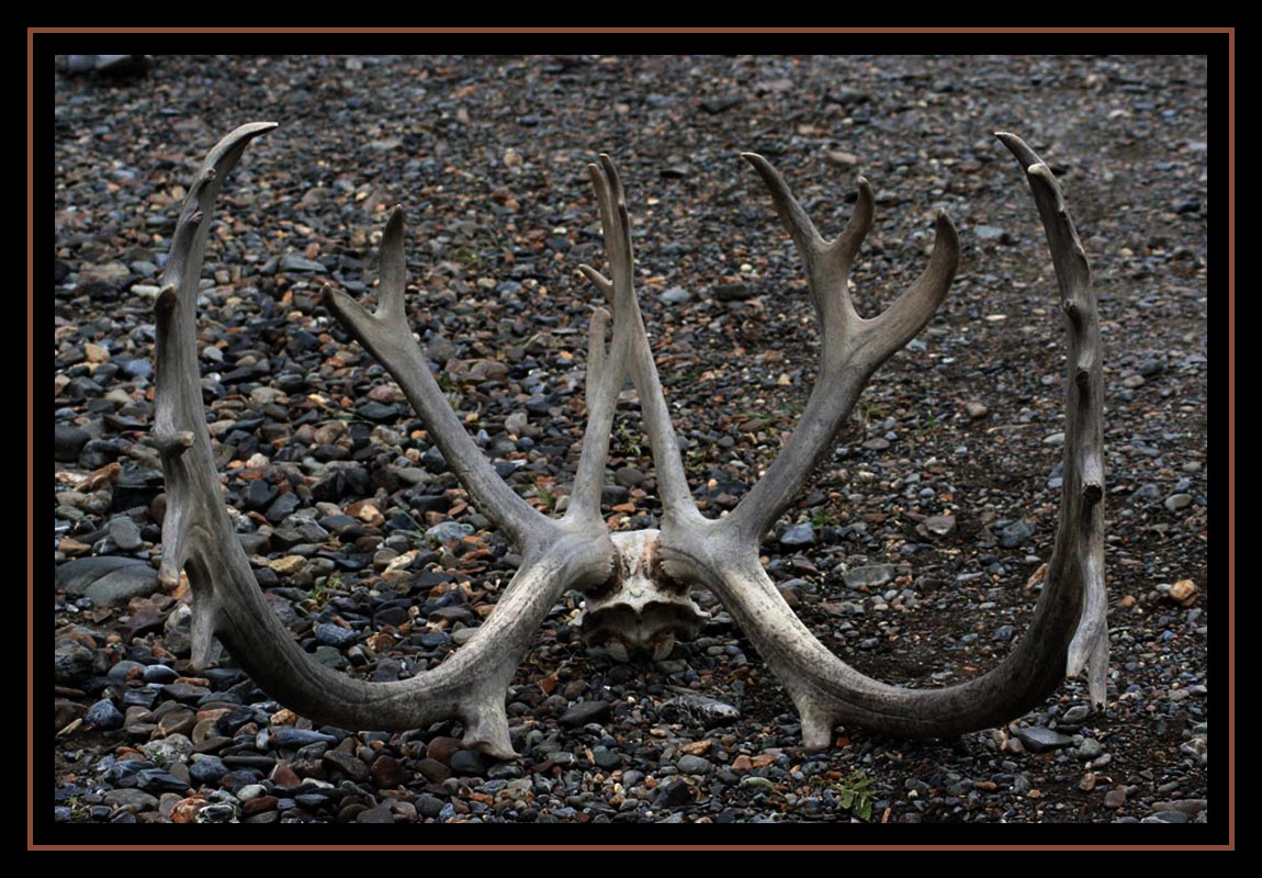 Dry CreekBed Find