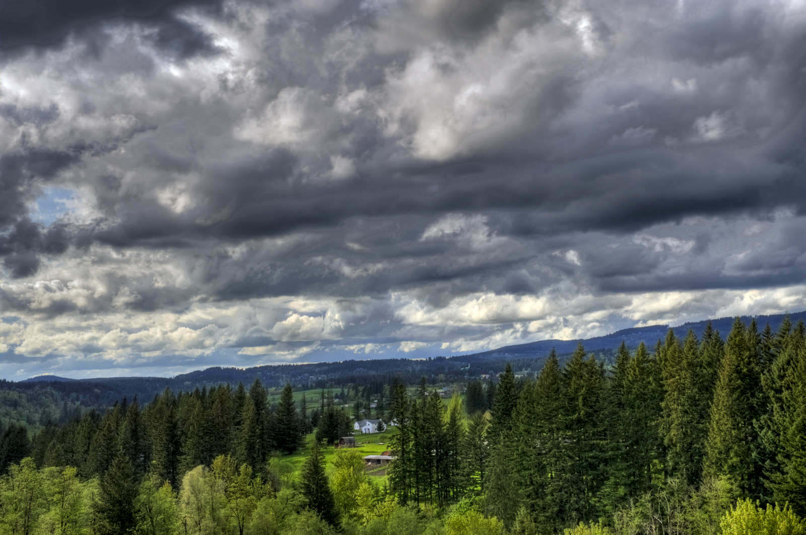 DSC3595_6_7_8_9PM_CS3