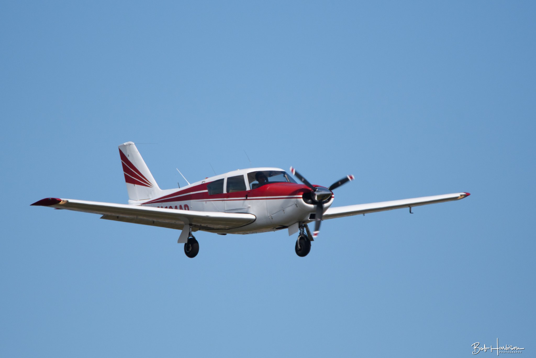 DSC_4110.jpg