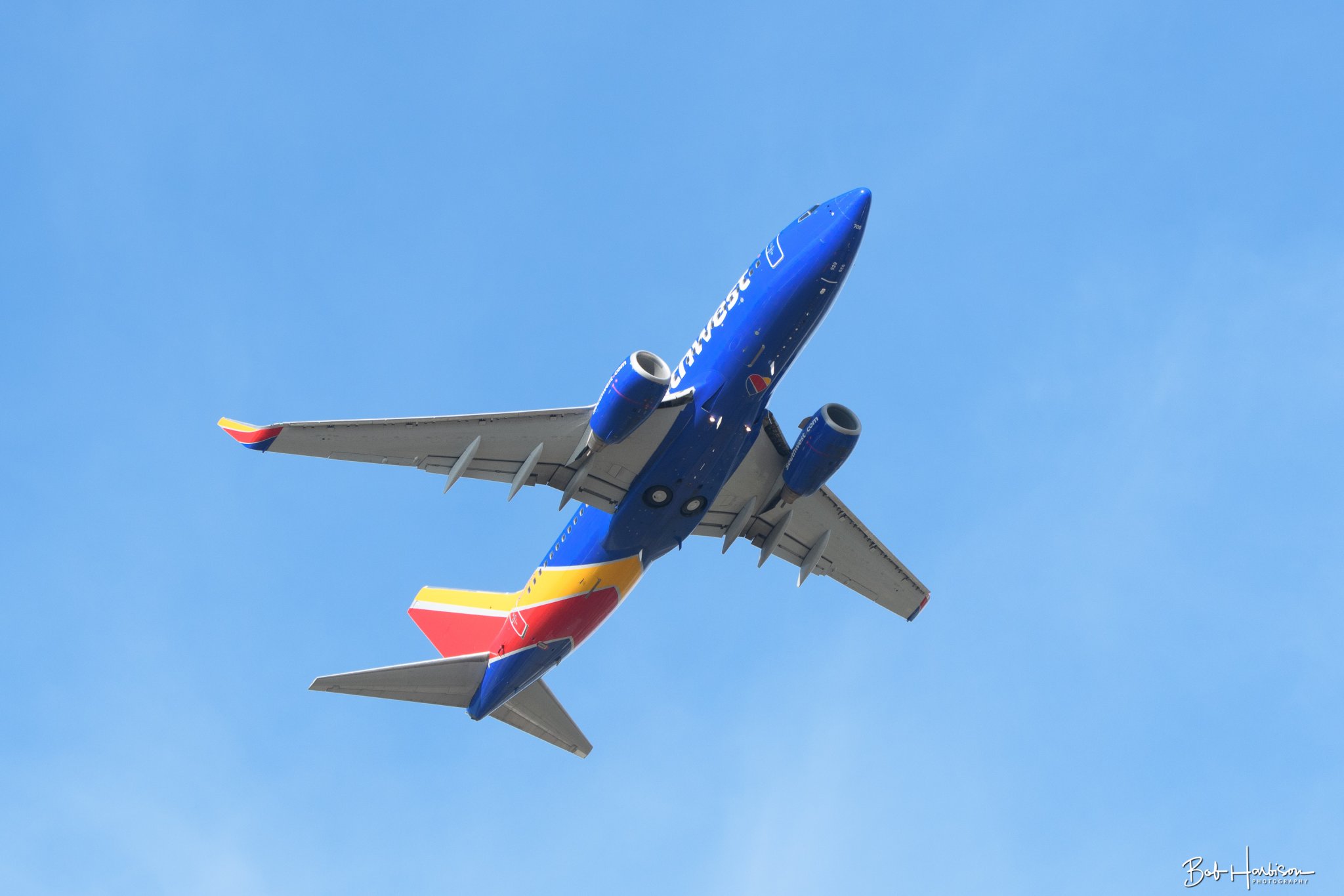 DSC_4313.jpg