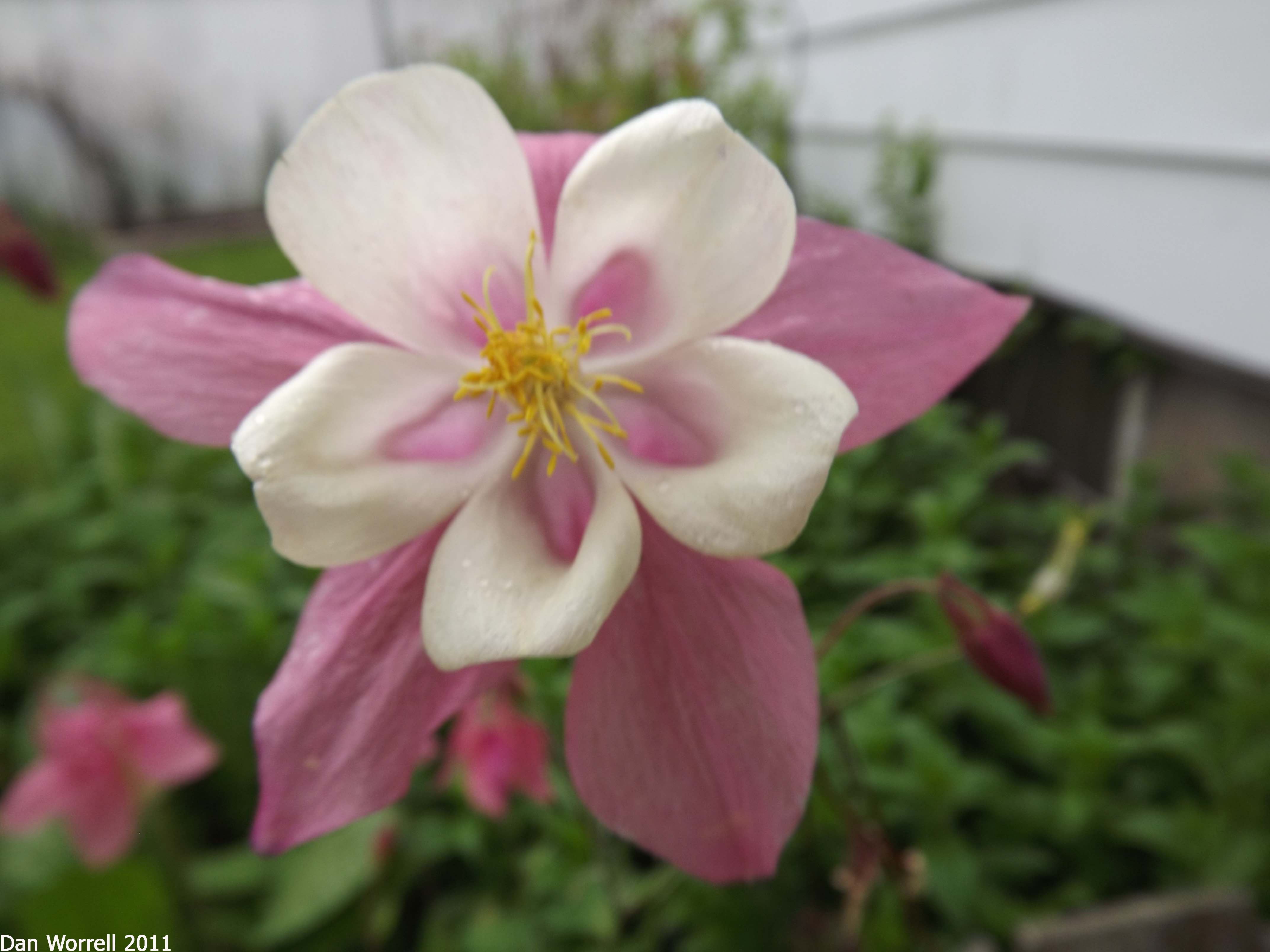 DSCF0063