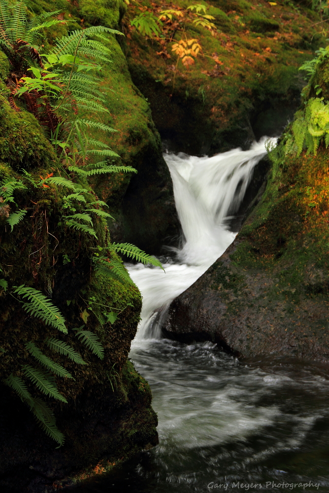 DUNCAN CREEK