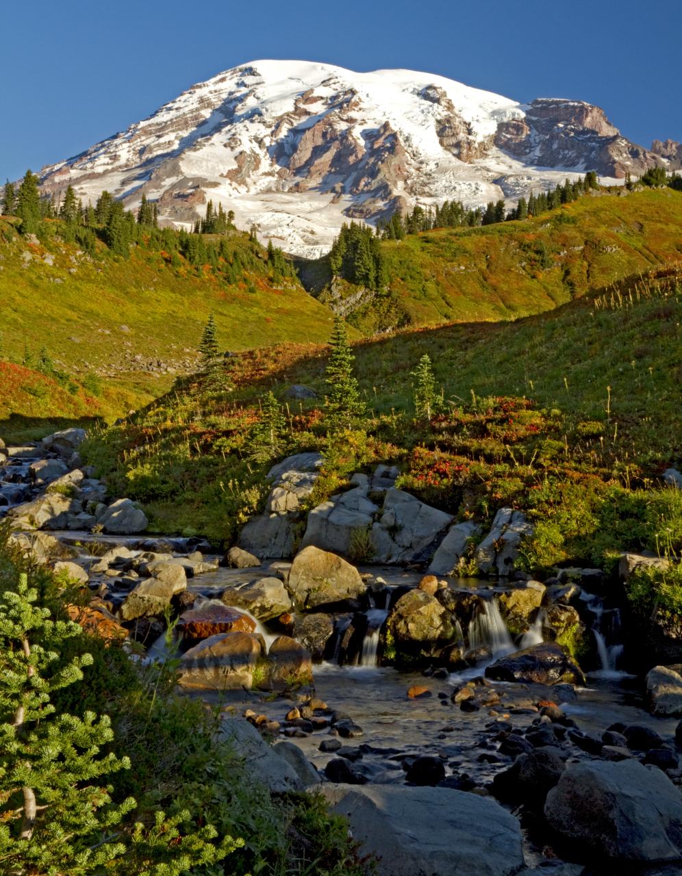 Early morning light  on the Skyline Trail