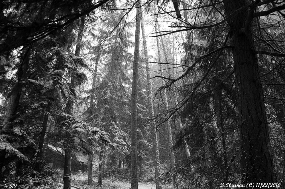 Early Nov. snow