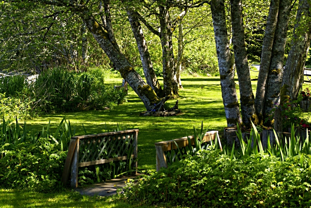 East lawn at Chito Beach Resort