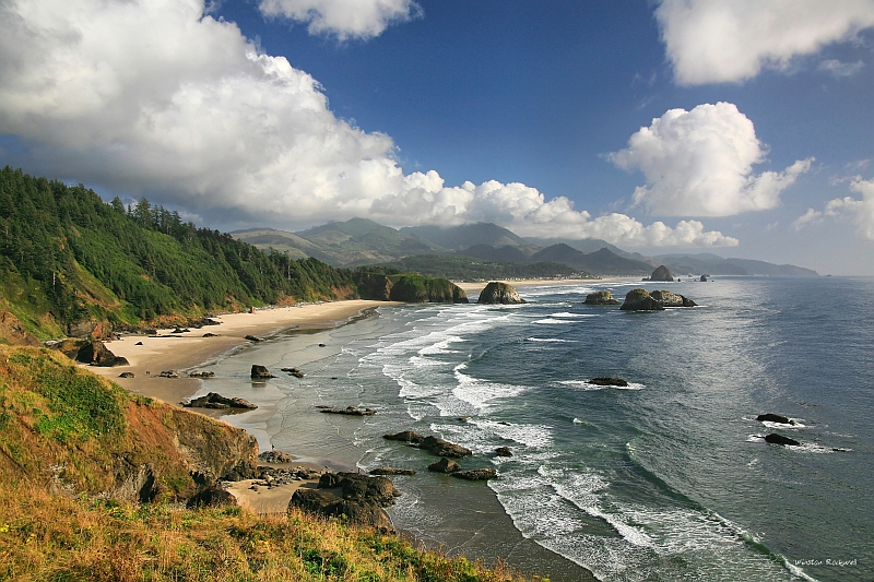 Ecola View