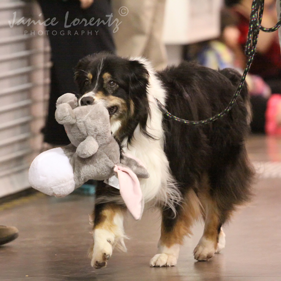 Eeyore and friend