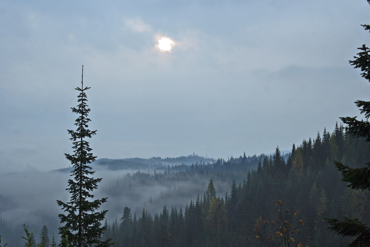 Elk River