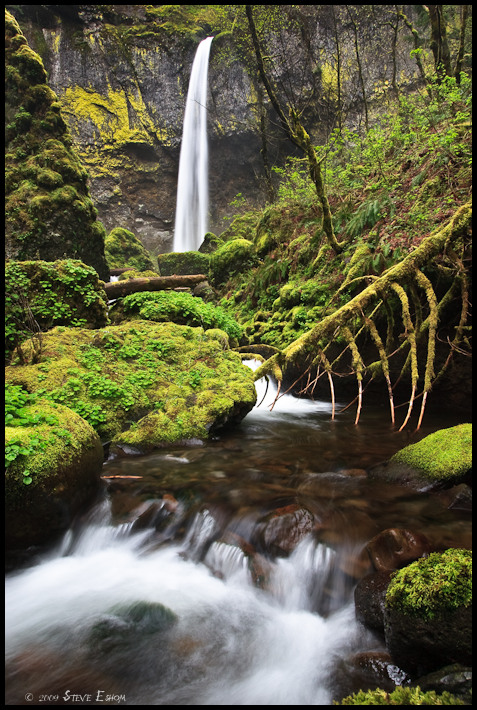 Elowah Falls #5