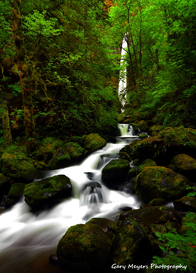 Elowah Falls In The Spring