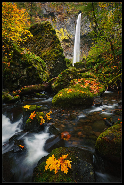 Elowah Falls