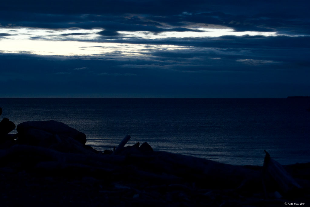 Evening Silhouette