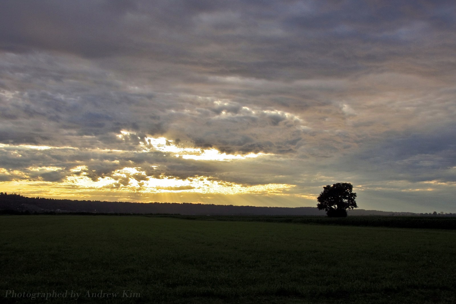 Evening Sun Rays Poking through the Clouds in the valley