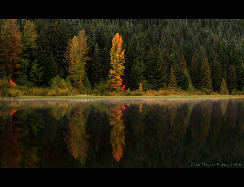 Fall at Trillium