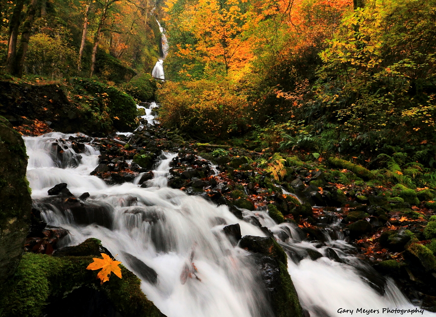 Fall at Wahkeena Creek Falls