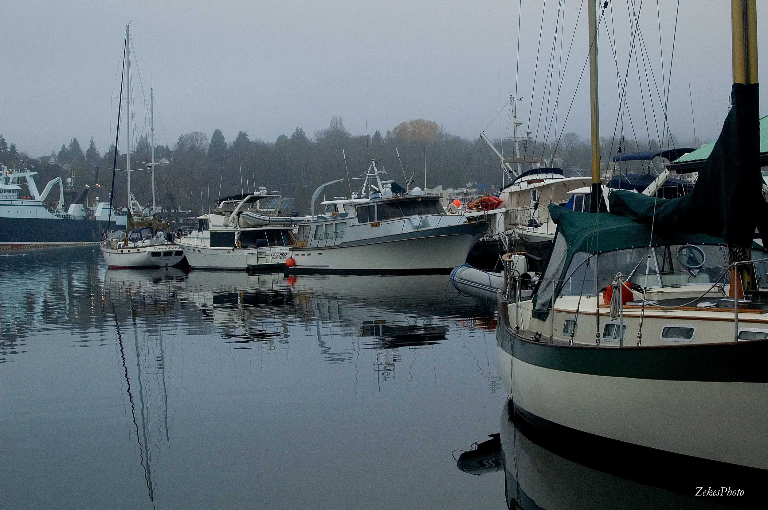 Fall in Ballard - 2008