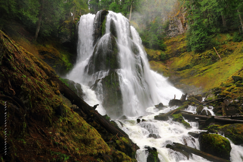 Falls Creek Falls