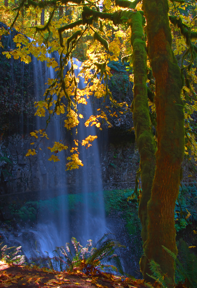 Falls in the Fall