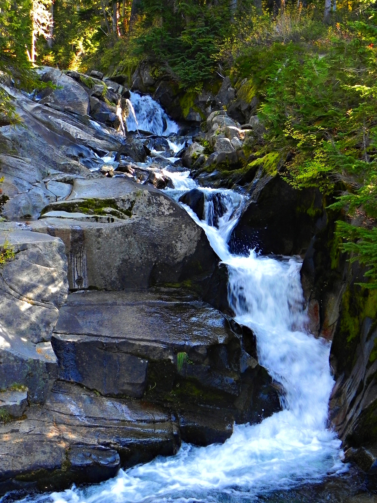 falls_mount_rainier