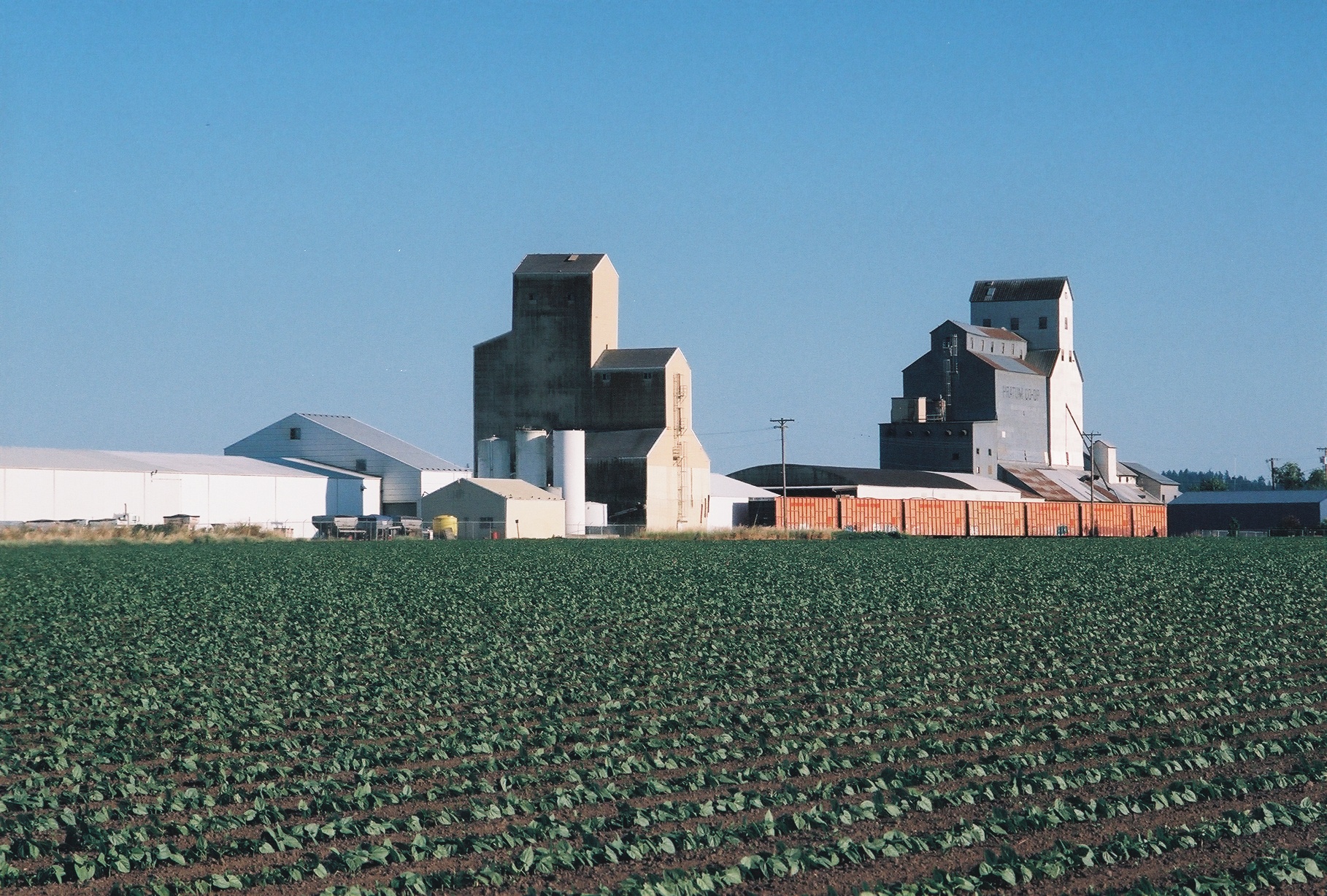 Farm Fields