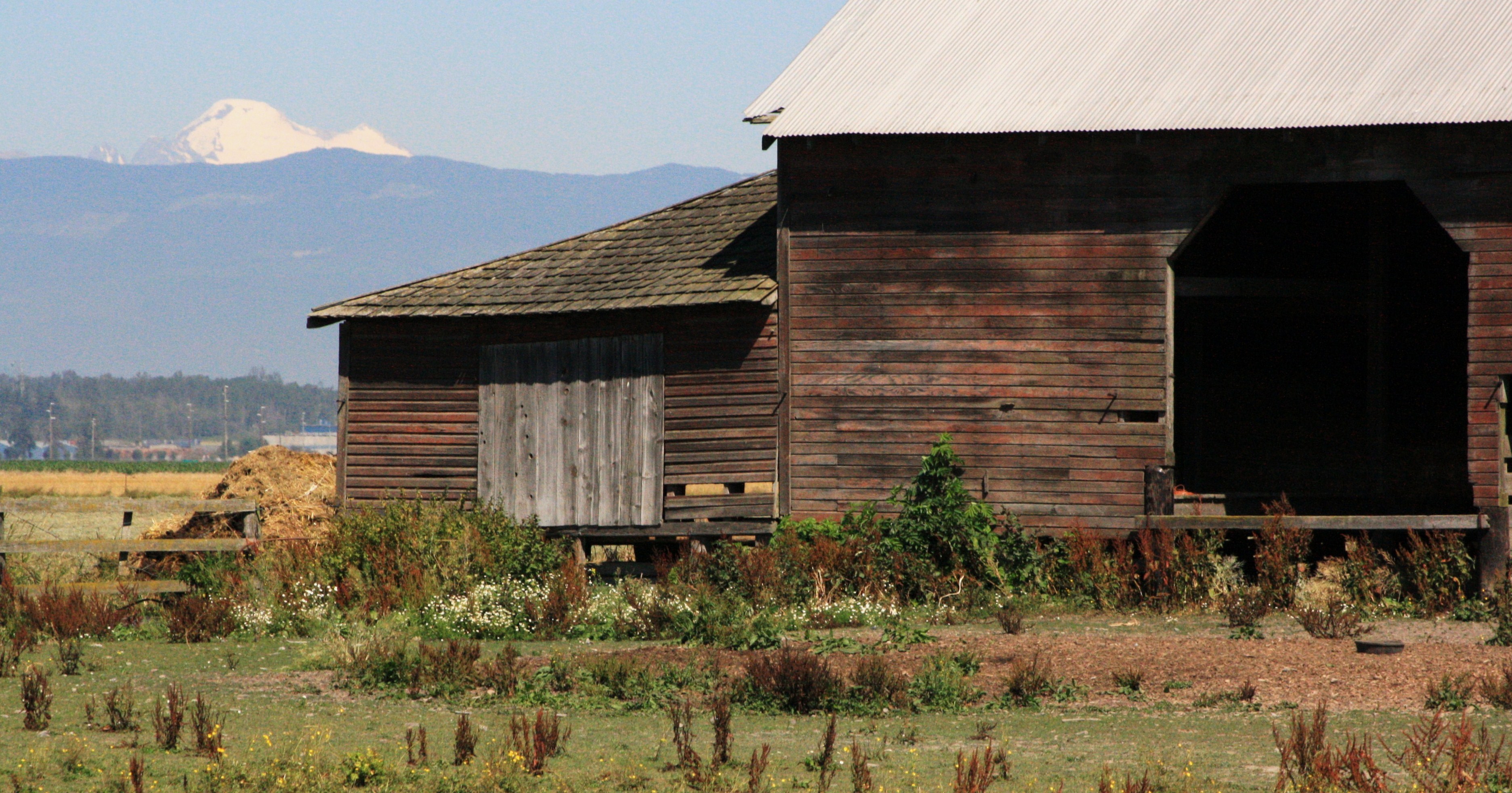 Farmin