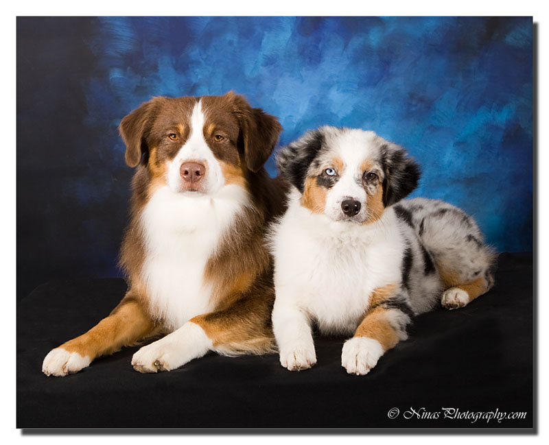 Father  & Son