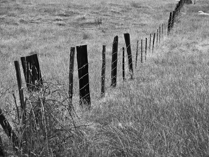 Fence_Line