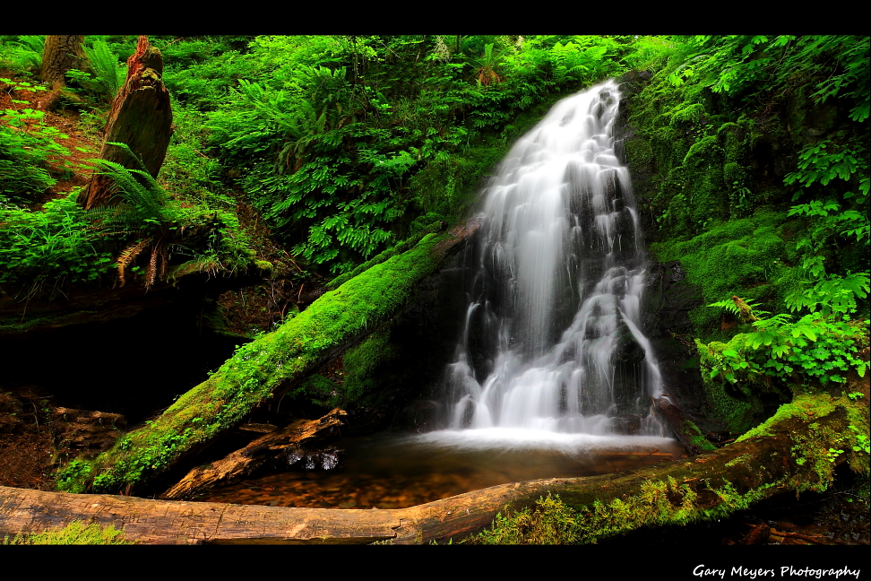 Fern rock creek falls