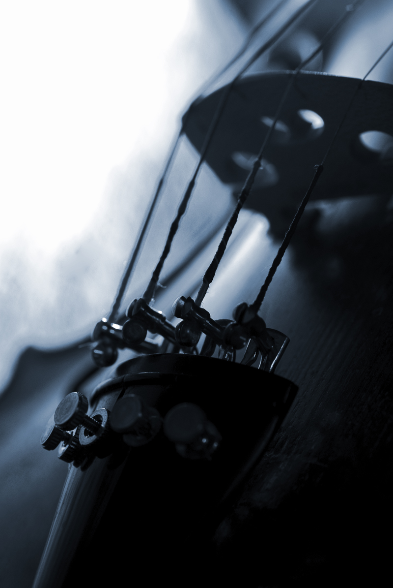 Fiddle