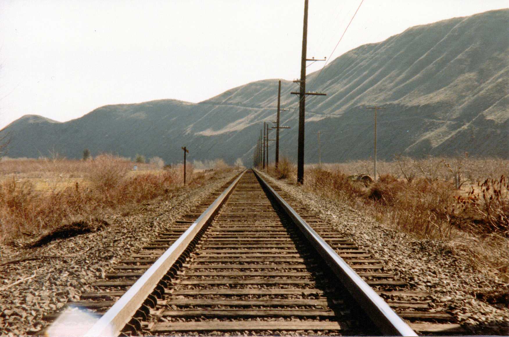 Film_