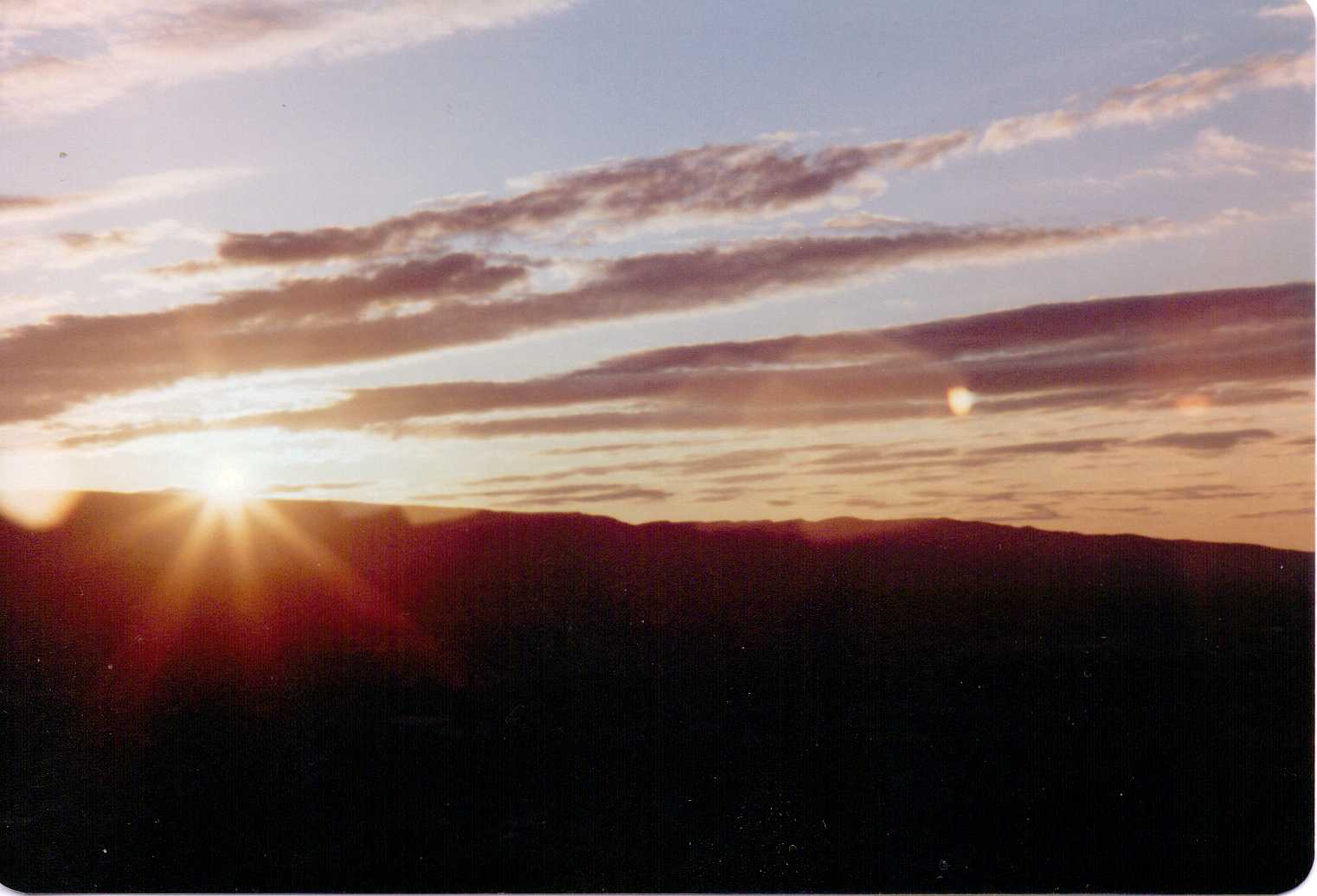 Film_7