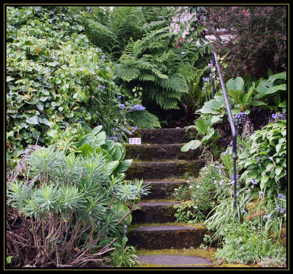Finding Peace and Tranquility in Portland